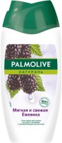 Гель для душа 250мл. Palmolive Мягкая и свежая ежевика 98.jpeg