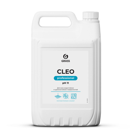 125415_Cleo_5_лицо