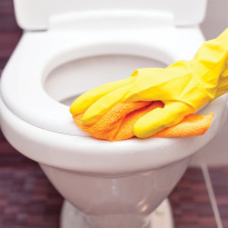 Очиститель-антисептик для сиденья унитаза TORK 475мл, S2,   420302 (вывод, распродажа!!!!!) 5